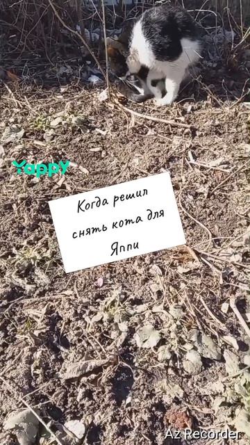 #жиза, #жизненно, #жизненныйюмор, #жизнь, #какжить.