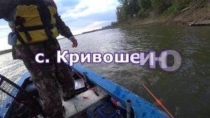 Кубок Клевера