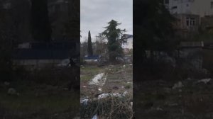 БУДЕМ САЖАТЬ ОГОРОД НА СВАЛКЕ /БЕЗДОМНЫЙ СОЧИ #бомжи #бездомные #Сочи