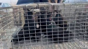 15.03.2026г Ярмарка в Славянске на Кубани!!!