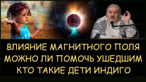 ✅ Н.Левашов: Кто такие дети индиго. Можно ли помочь ушедшим. Влияние магнитного поля