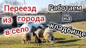 Переезд из города в СЕЛО/Обзор ПОСЁЛКА Моревка/Убрали рубероид🫣/Работаем на КЛАДБИЩЕ.