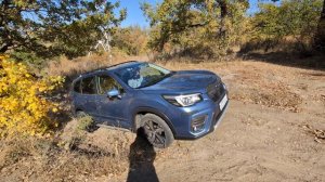 forester sk песок 2.mp4