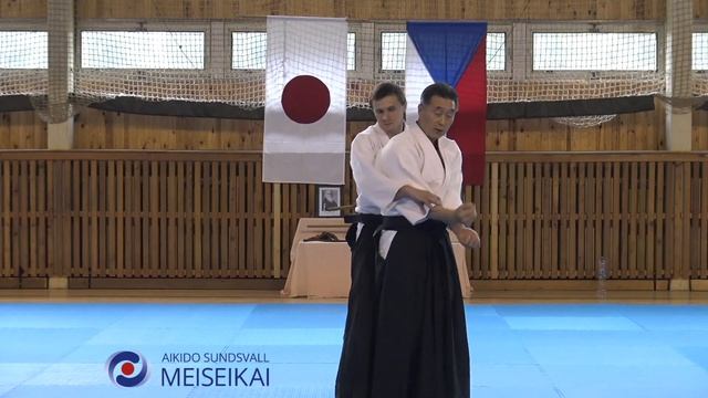 20.Aikido  Ushirowaza Explained Through Sankyo Shishiya Sensei, Horic