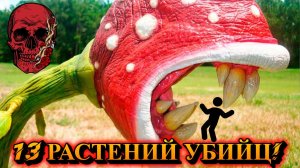 КРАСИВО, НО СМЕРТЕЛЬНО! 13 Растений, идеальных природных убийц!
