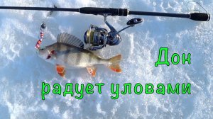 РЫБНЫЙ ДЕНЬ на ДОНУ. Тестируем новый спиннинг.