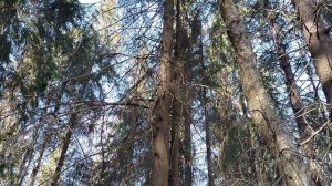 Поход на ручей за водой 15 марта 2026