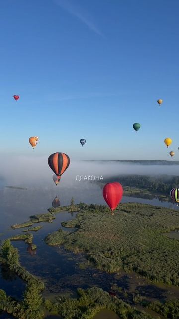 Ну и хитрые же воздухоплаватели.