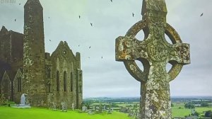 Элла Крылова читает стихи Ольги Седаковой.