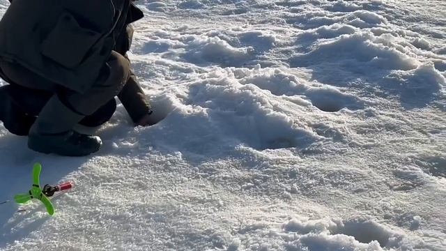 15.03.26 г. РК Волна. смотреть онлайн