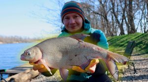 Активный клёв карася и леща, рыбалка весной 2026 ловля рыбы на донку