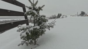 Фрирайд. Мрачный Авальман.