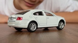 Марк нашел самый дорогой автомобиль марки Škoda 💰