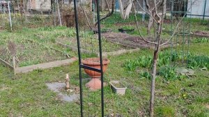 Весна на Ромашковой. Первая поездка в этом сезоне на дачу. Краснодар, дача, 15 марта 2026.