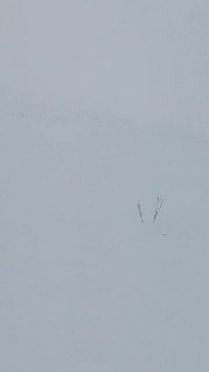 иду с рыбалки