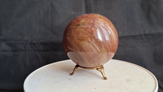 Окаменелое дерево 8,6 см