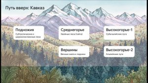 География 8 класс параграф 49 Субтропики Высотная поясность в горах краткий пересказ