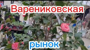 Богатый рынок.