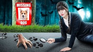 Моя собака пропала! Если бы я стала Уэнсдей Аддамс в реальной жизни!