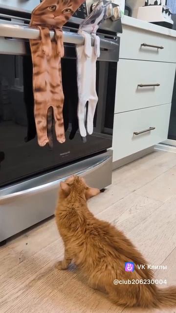 Когда сам выбирал полотенца на кухню 😹 ...👇