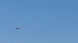 1000108889.mp4Голуби И.Т.14.03.2026.