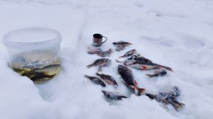 Рыбалка в пятницу, 13-го. Озёра ХМАО.