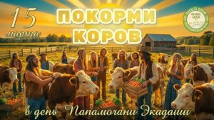 Кормление коров в день Папамочани Экадаши, 15.03.2026г., Планета коров