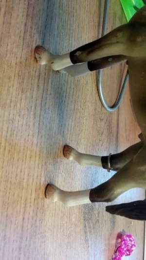 сериал лошадей Шрек длится 4 или 5 минут