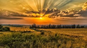 video_9680156429013.mp4 АВТОРСКАЯ ПЕСНЯ Галины Ляминой "Тиуновой "🚩МИРА ХОТЯТ ВСЕ ДЕТИ ❤️