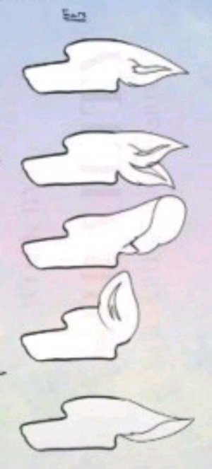 мои драконы