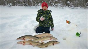 В ТОТ ДЕНЬ ЩУЧКА ЕТЫ-ПУРОВСКАЯ МАКСИМА ПОГОНЯЛА ПО ЖЕРЛИЦАМ ПО ПОЛНОЙ)!