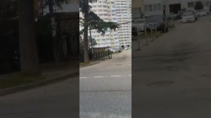 ЕДЕМ В СОСЕДНЕЕ СЕЛО СДАВАТЬ МЕТАЛЛ/ БЕЗДОМНЫЙ СОЧИ #бомжи #бездомные #сочи