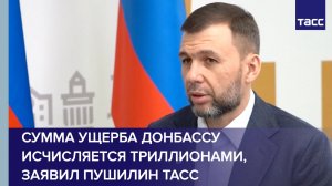 Сумма нанесенного Донбассу действиями ВСУ ущерба исчисляется триллионами, заявил Пушилин ТАСС