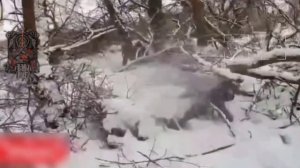 Добегались.