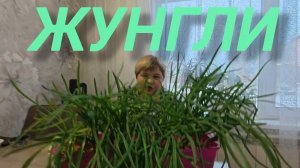 Аналитический обзор на канал Ольга Уралочка live от 14 марта 2026 года. Жунгли...🦒🦥