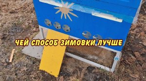 пчеловодство чей способ зимовки лучше да 2024