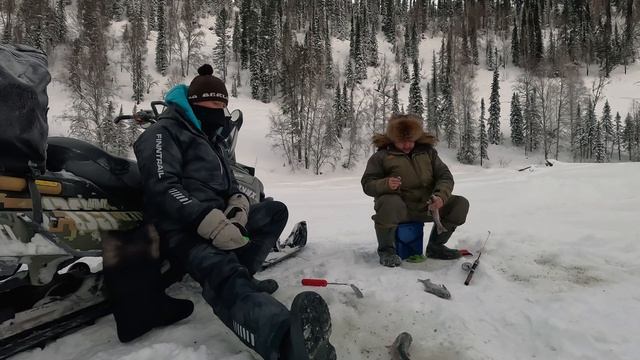 Отличная рыбалка по горной форели на Алтае. Кое как выбрались из тайги. Часть 2 смотреть онлайн