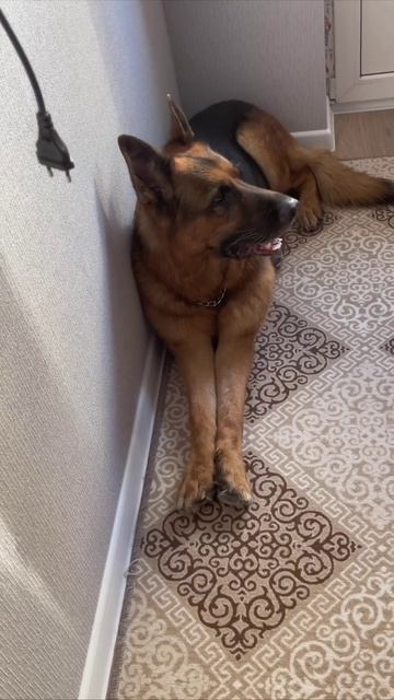 Балерино-капучино 🥰