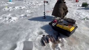 15.03.26 г. РК Волна.