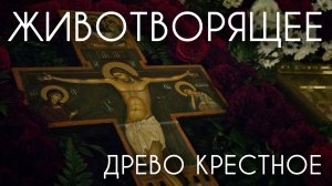Животворящее древо крестное. Прот. Андрей Овчинников.