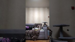 Фильм 1 серия