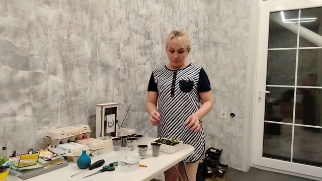 Пикирую сортовую питунью  Обзор растишек 