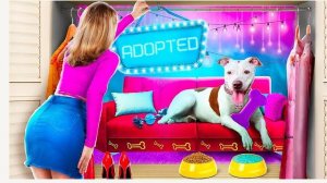 Строим секретный дом для животных! Мы приютили собаку