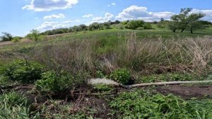 Копаем пруд экскаватором! Рыба не рак