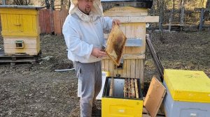 Сокращаю количество рамок в Пчелиных семьях