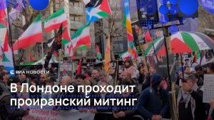 В Лондоне проходит проиранский митинг