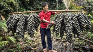 Собрал невероятный урожай диких лесных фруктов на продажу. Жизнь во Вьетнаме