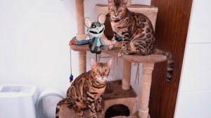 Ярнаби и мышь из Поппи Плей Тайм