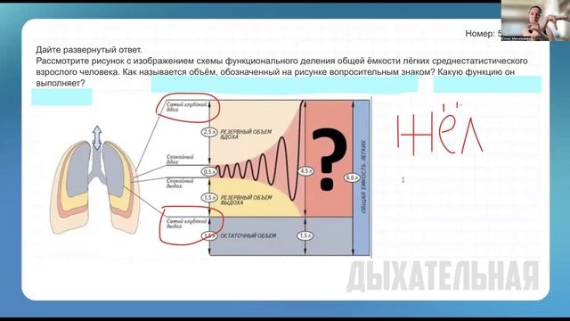 Задания 22 (добили человека и взялись за животных)