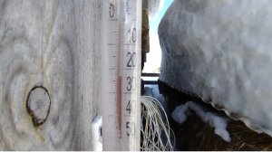 15-03-2026 Я думаю, что Боженька меня оберегает.